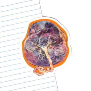 Placenta #2 Sticker