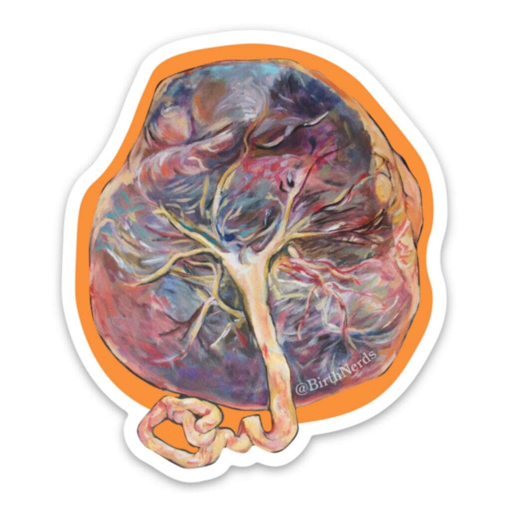 Placenta #2 Sticker