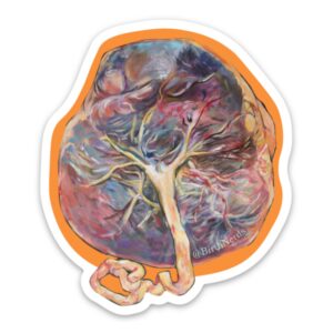 Placenta #2 Sticker