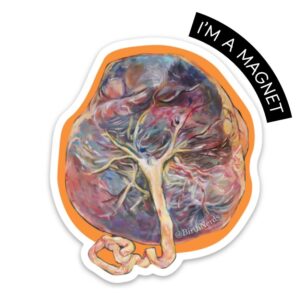 Placenta Magnet #2 Magnet
