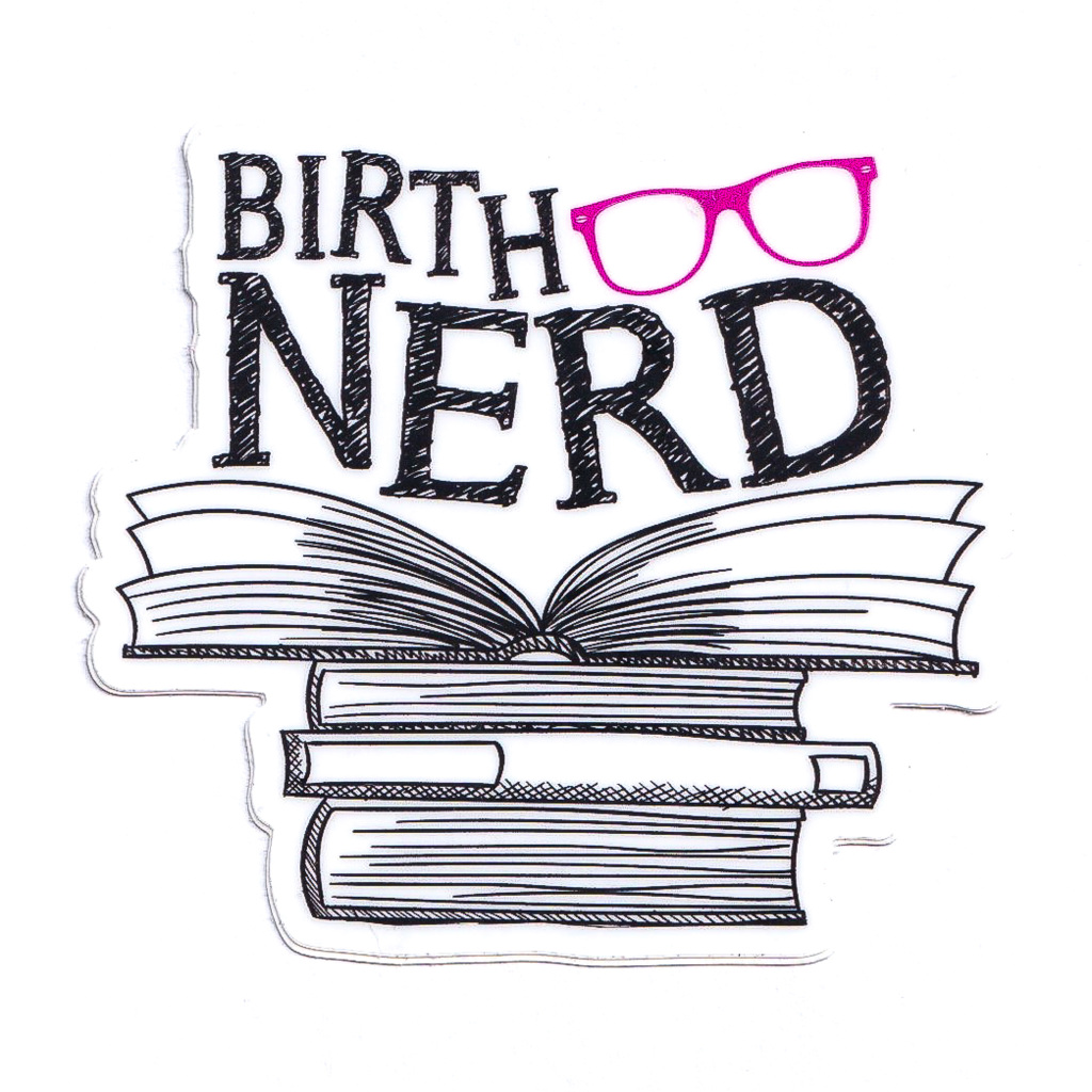 Birth Nerd Pink Sticker