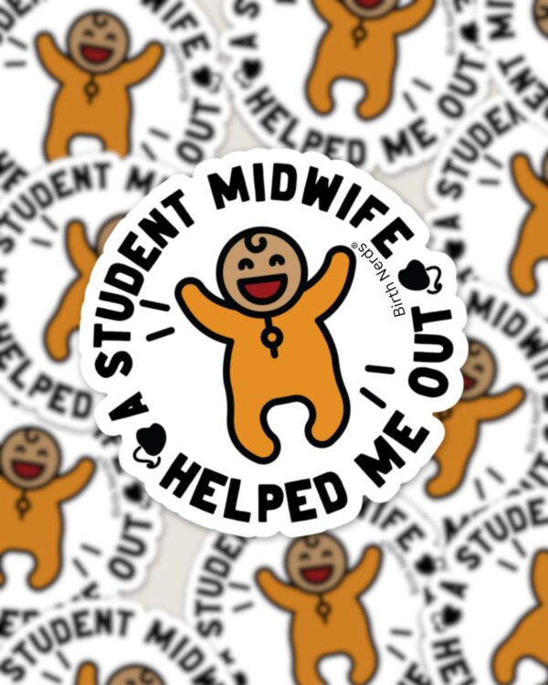 A Student Midwife Helped Sticker - Image 2
