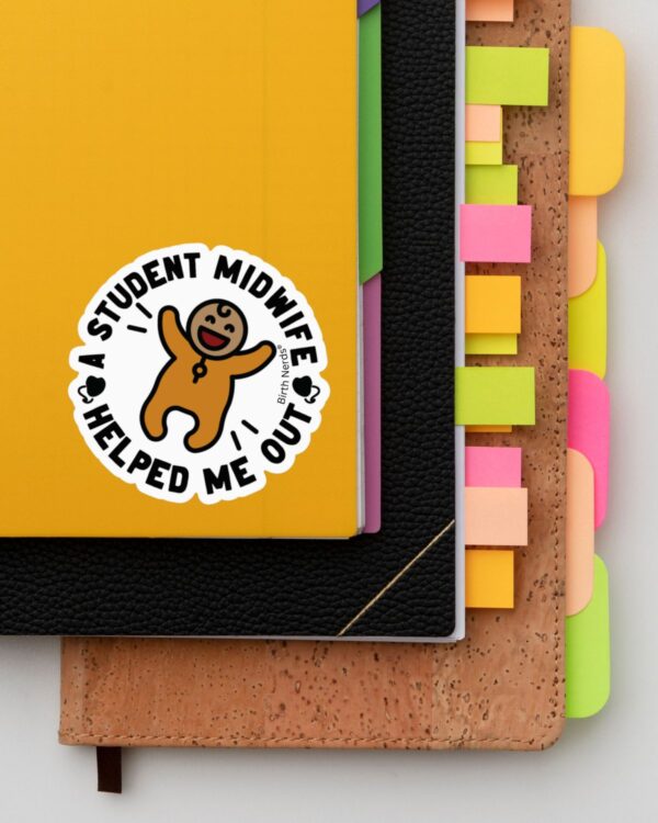 A Student Midwife Helped Sticker - Image 4