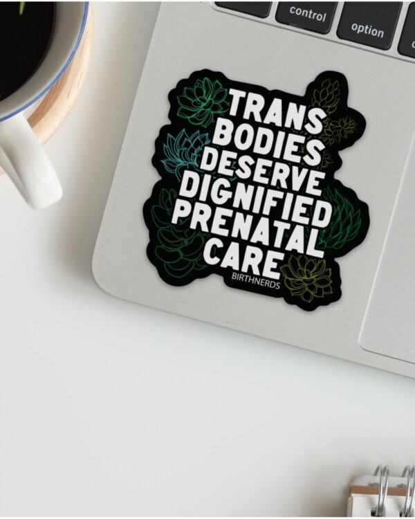 Trans Bodies Deserve Dignified Prenatal Sticker - Image 3