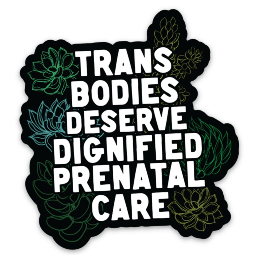 Trans Bodies Deserve Dignified Prenatal Sticker