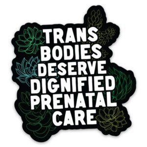 Trans Bodies Deserve Dignified Prenatal Sticker