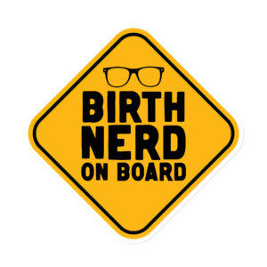 Birth Nerd on Board Magnet