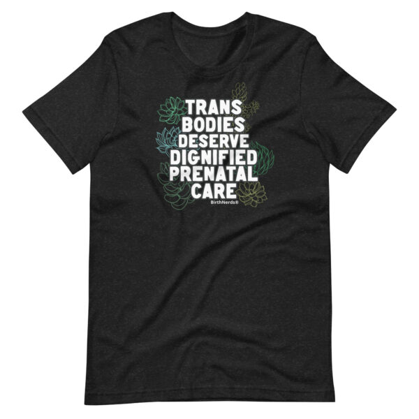 Trans Bodies Deserve Dignified Prenatal Shirt