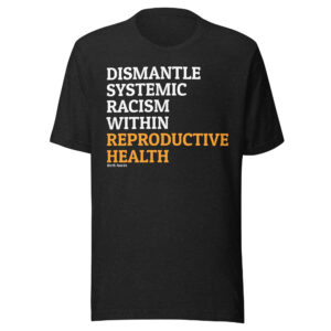 Dismantle Systemic Racism Shirt