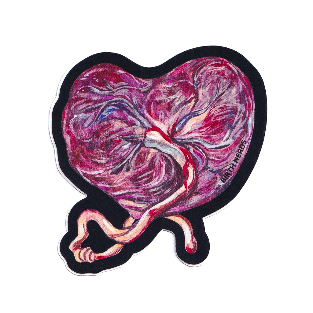 Placenta Heart Sticker